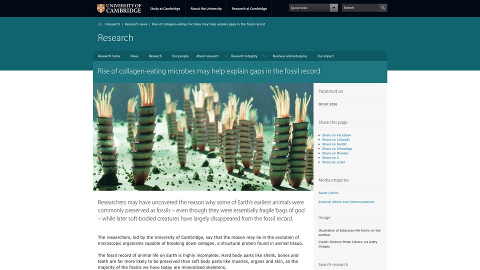 Screenshot of cam.ac.uk: Rise of collagen-eating microbes may help explain gaps in the fossil record