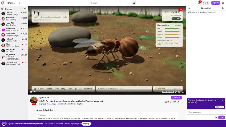 Screenshot of twitch.tv: I made a virtual pet fruit fly that Twitch chat can interact with