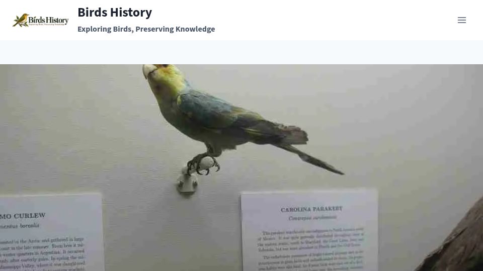 Screenshot of birdshistory.com: Declaring a bird extinct: The median wait is 36 years after the last sighting