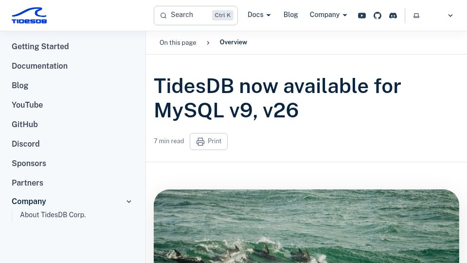 Screenshot of tidesdb.com: A new write and space optimized storage engine for MySQL is here
