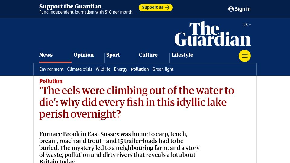 Screenshot of theguardian.com: 'The eels were climbing out of the water to die'