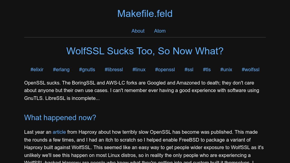 Screenshot of blog.feld.me: WolfSSL sucks too, so now what?