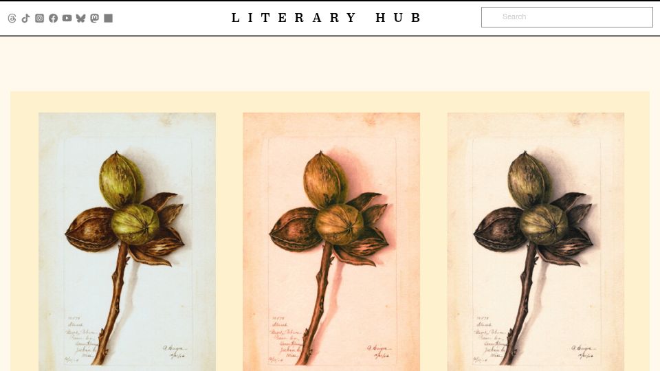 Screenshot of lithub.com: An Enslaved Gardener Transformed the Pecan into a Cash Crop