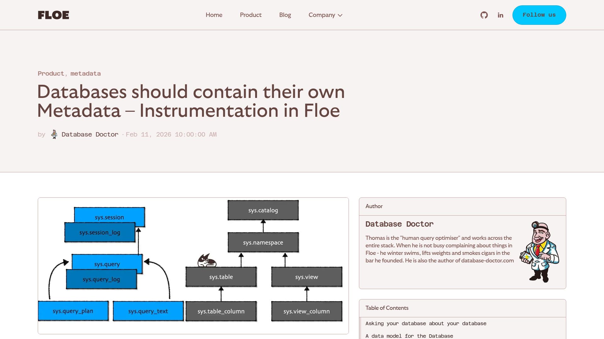 Screenshot of floedb.ai: Databases should contain their own Metadata – Use SQL Everywhere