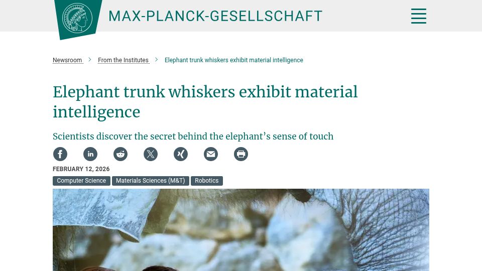 Screenshot of mpg.de: Elephant trunk whiskers exhibit material intelligence
