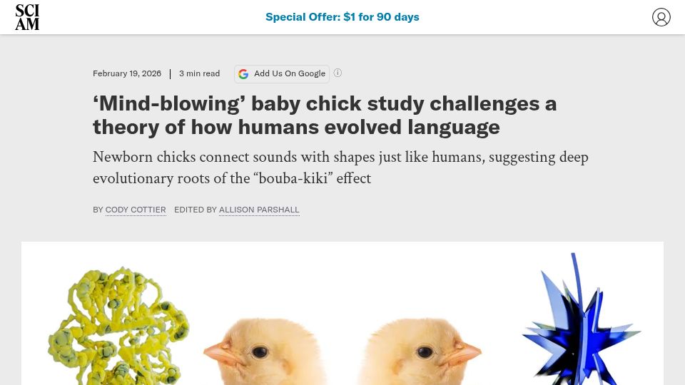 Screenshot of scientificamerican.com: Baby chicks pass the bouba-kiki test, challenging a theory of language evolution