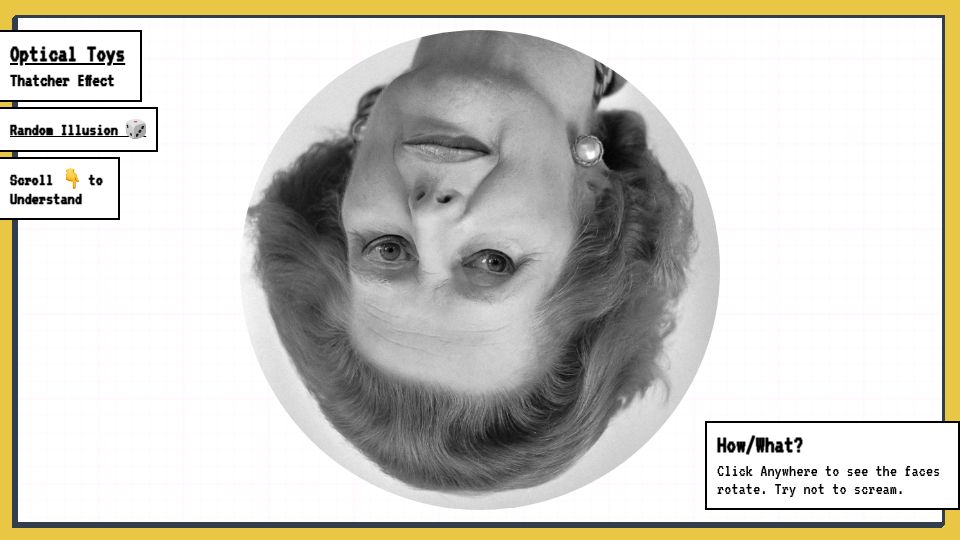 Screenshot of optical.toys: Thatcher Effect – Optical Illusion and Explanation