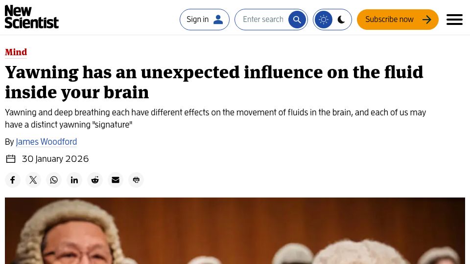 Screenshot of newscientist.com: Yawning has an unexpected influence on the fluid inside your brain