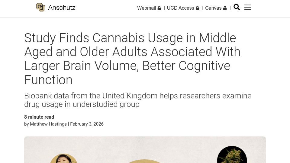 Screenshot of news.cuanschutz.edu: Study: Older Cannabis Users Have Larger Brains, Better Cognition