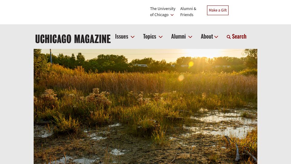 Screenshot of mag.uchicago.edu: The Beauty of Slag