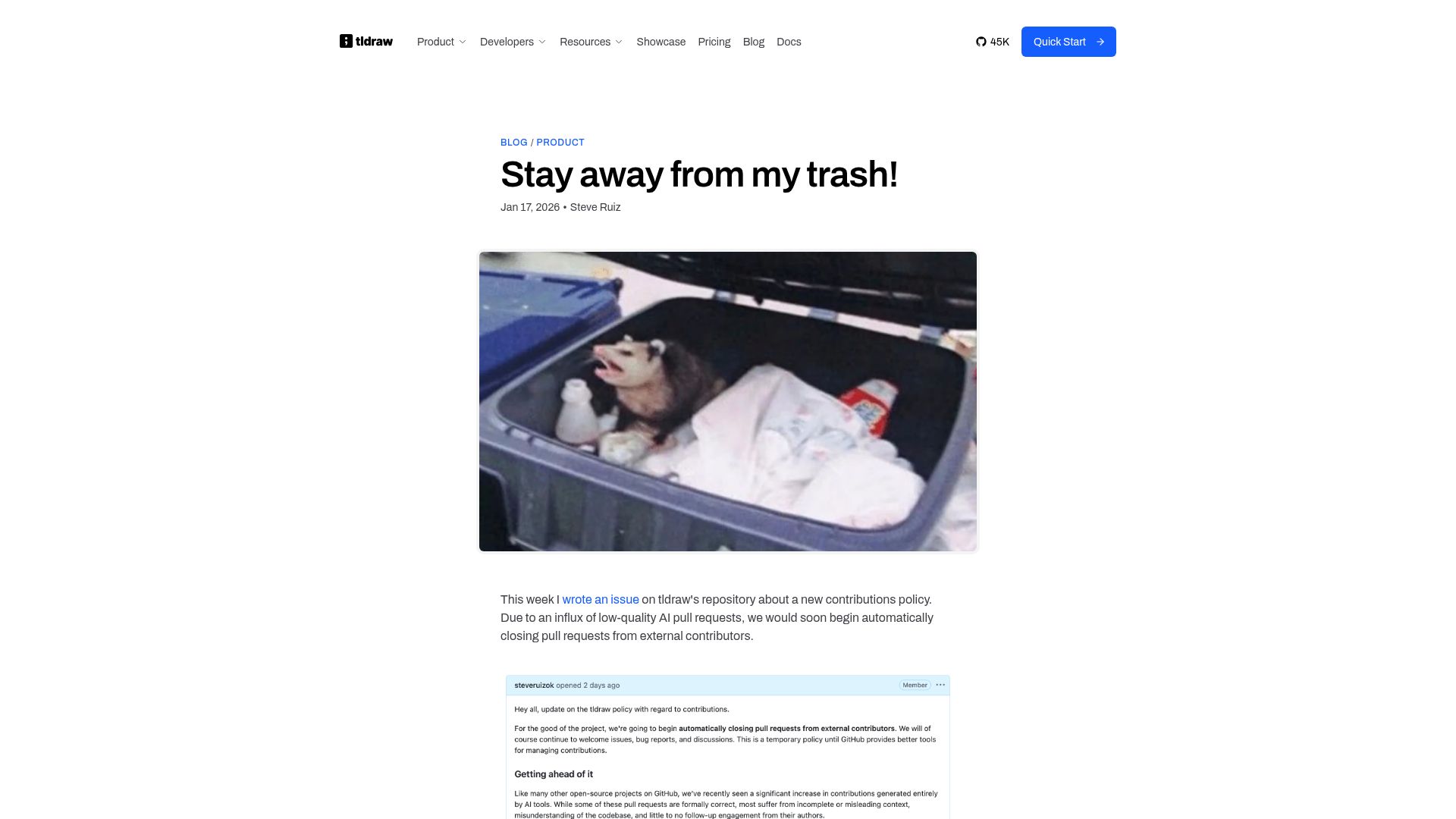 Screenshot of tldraw.dev: Stay Away from My Trash