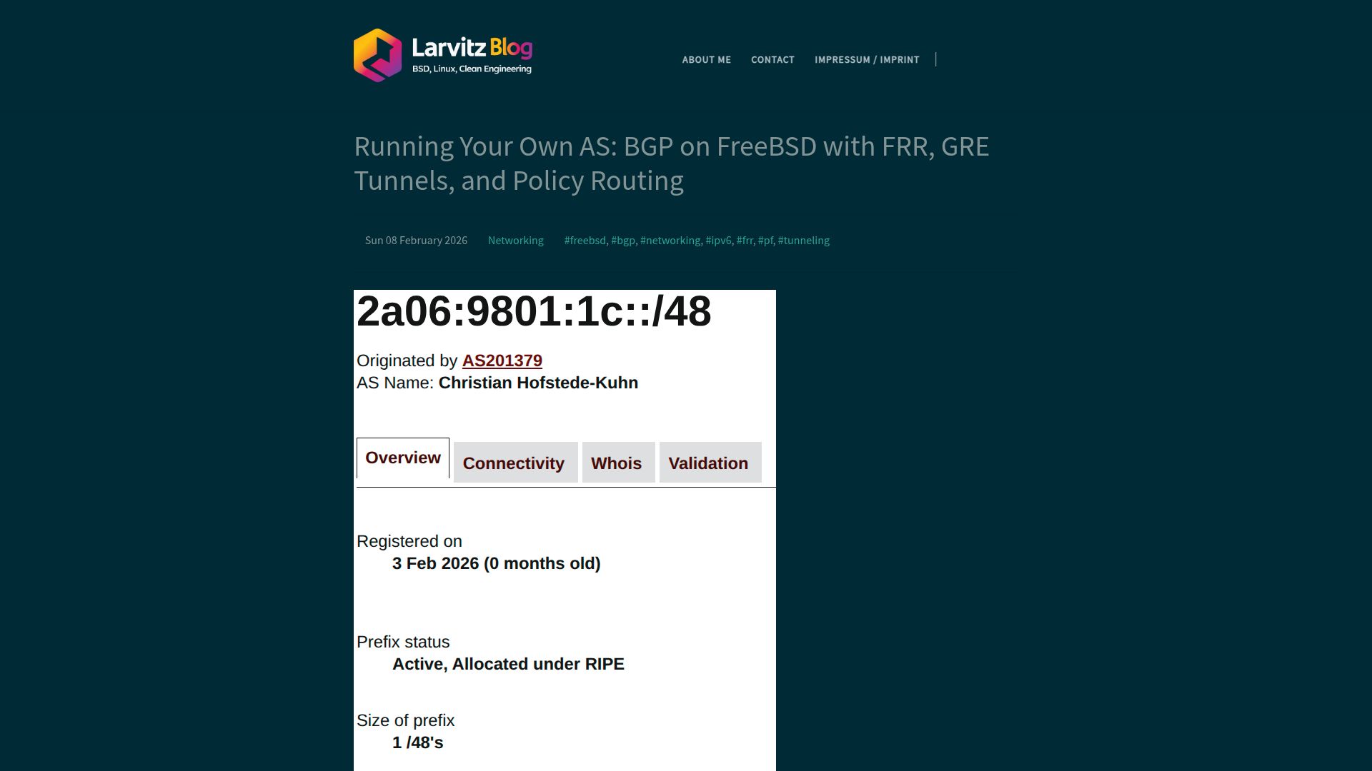 Screenshot of blog.hofstede.it: Running Your Own As: BGP on FreeBSD with FRR, GRE Tunnels, and Policy Routing