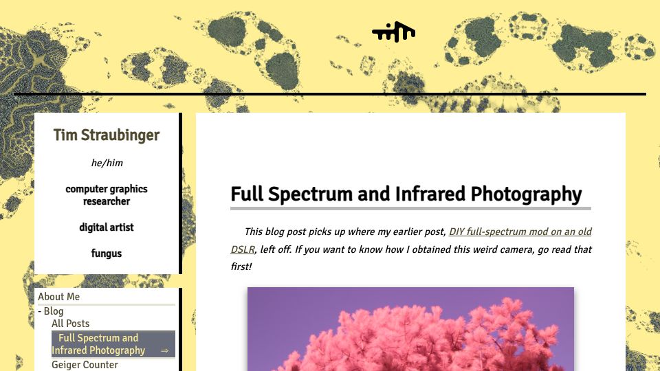 Screenshot of timstr.website: Full Spectrum and Infrared Photography