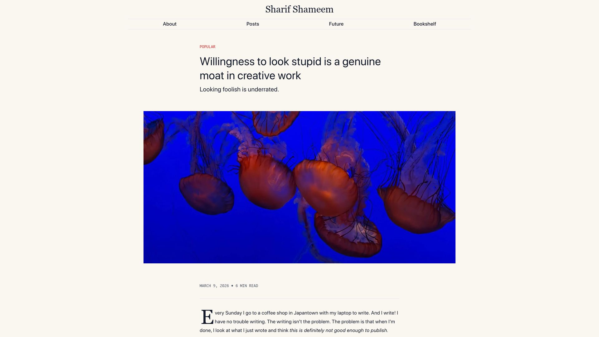 Screenshot of sharif.io: Willingness to look stupid