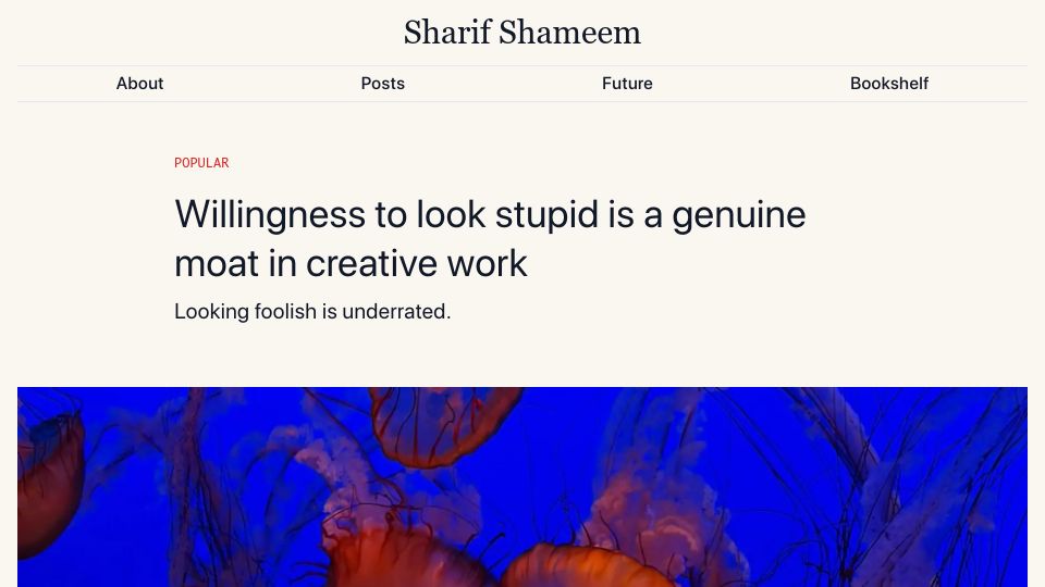 Screenshot of sharif.io: Willingness to look stupid
