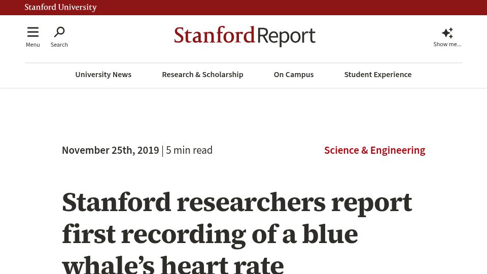 Screenshot of news.stanford.edu: Stanford researchers report first recording of a blue whale's heart rate (2019)