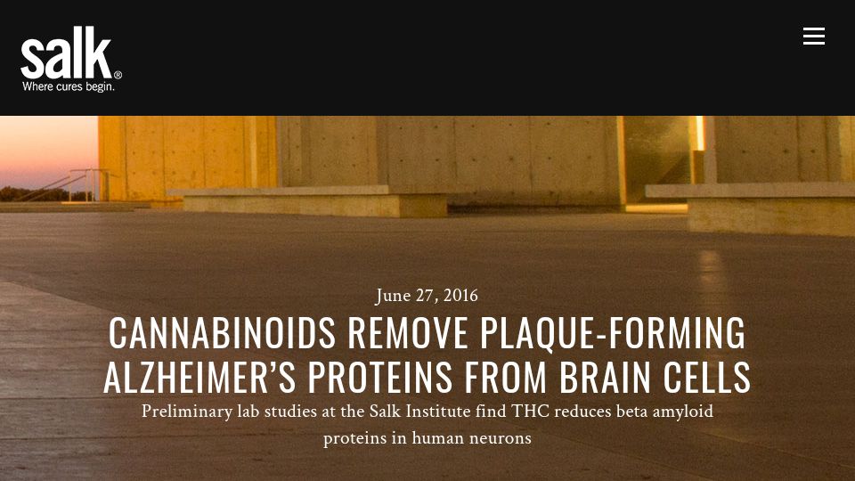 Screenshot of salk.edu: Cannabinoids remove plaque-forming Alzheimer's proteins from brain cells (2016)