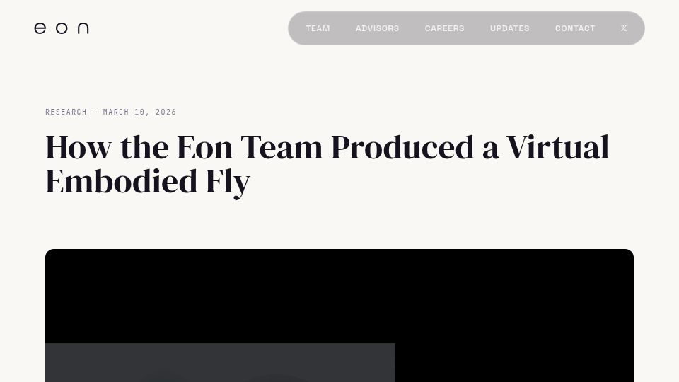 Screenshot of eon.systems: How the Eon Team Produced a Virtual Embodied Fly