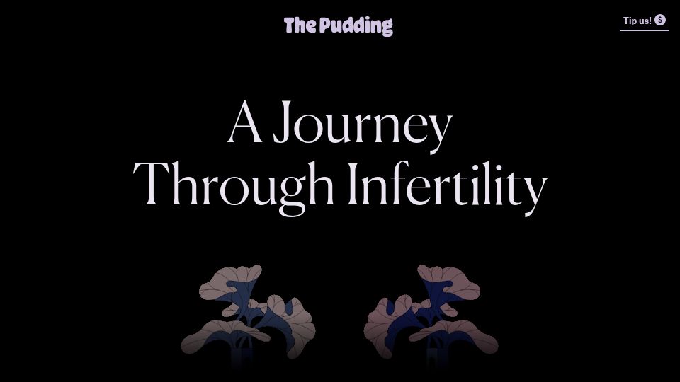 Screenshot of pudding.cool: A Journey Through Infertility