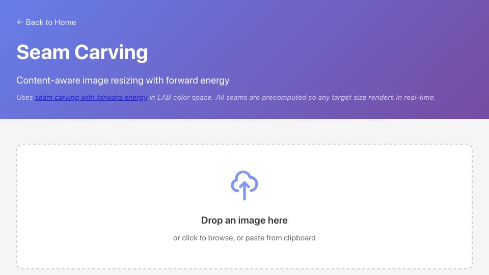 Screenshot of pictolab.io: Seam carving with forward energy