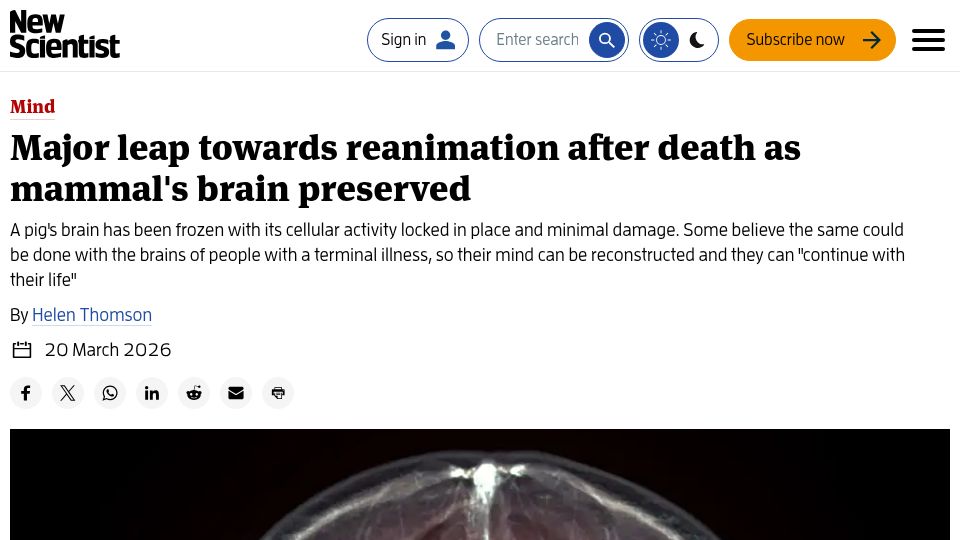 Screenshot of newscientist.com: A pig's brain has been frozen with its cellular activity locked in place