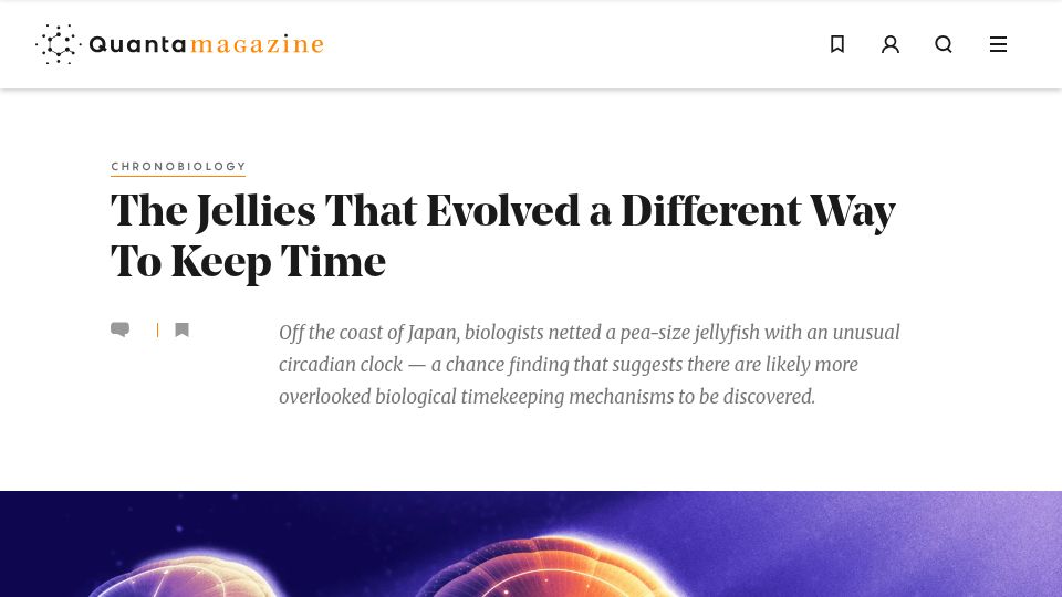 Screenshot of quantamagazine.org: The Jellies That Evolved a Different Way to Keep Time