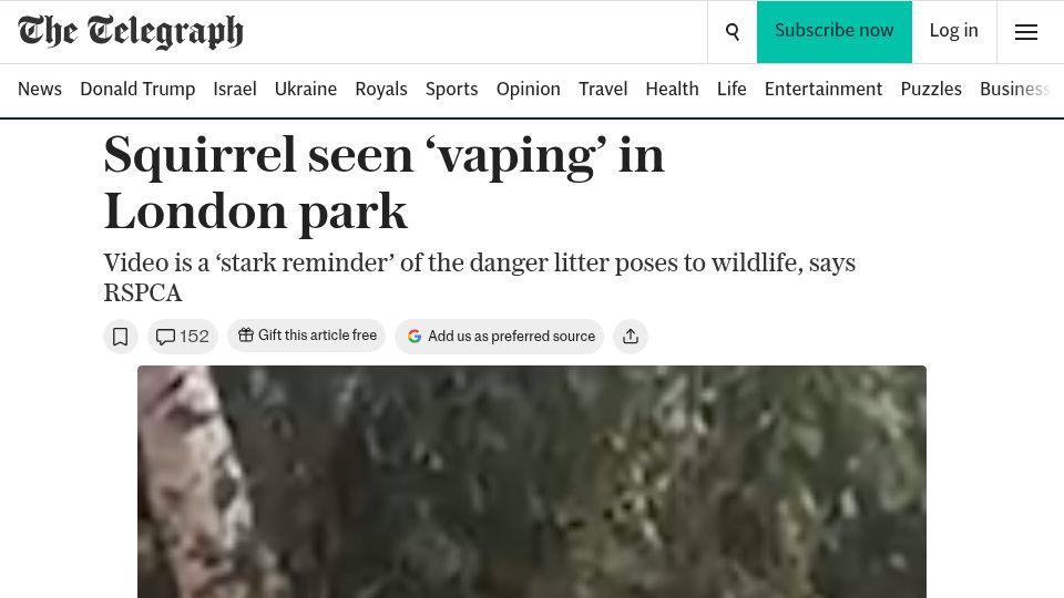 Screenshot of telegraph.co.uk: Squirrel seen 'vaping' in London park