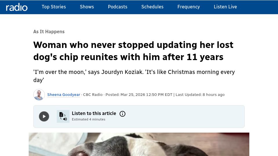 Screenshot of cbc.ca: Woman who never stopped updating her lost dog's chip reunites with him after 11y