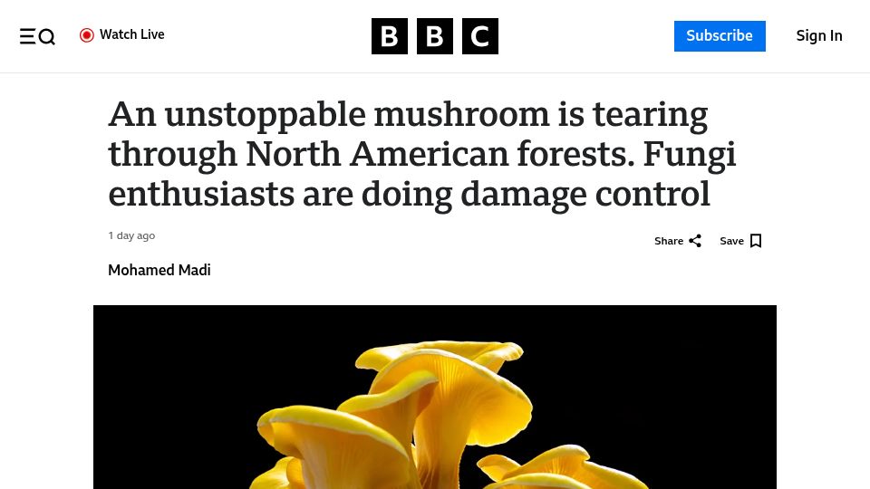 Screenshot of bbc.com: An unstoppable mushroom is tearing through North American forests