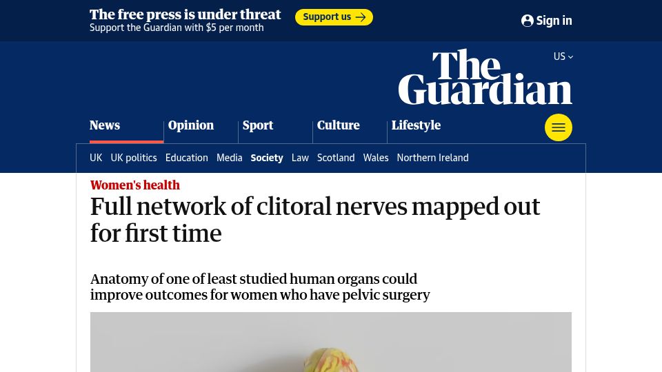 Screenshot of theguardian.com: Full network of clitoral nerves mapped out for first time