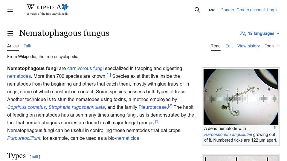 Screenshot of en.wikipedia.org: Nematophagous Fungus