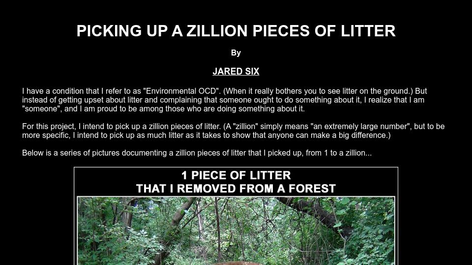 Screenshot of sixstepstobetterhealth.com: Picking Up a Zillion Pieces of Litter