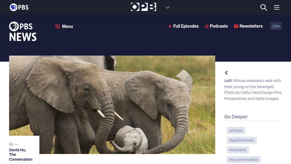 Screenshot of pbs.org: Why it takes you and an elephant the same amount of time to poop (2017)