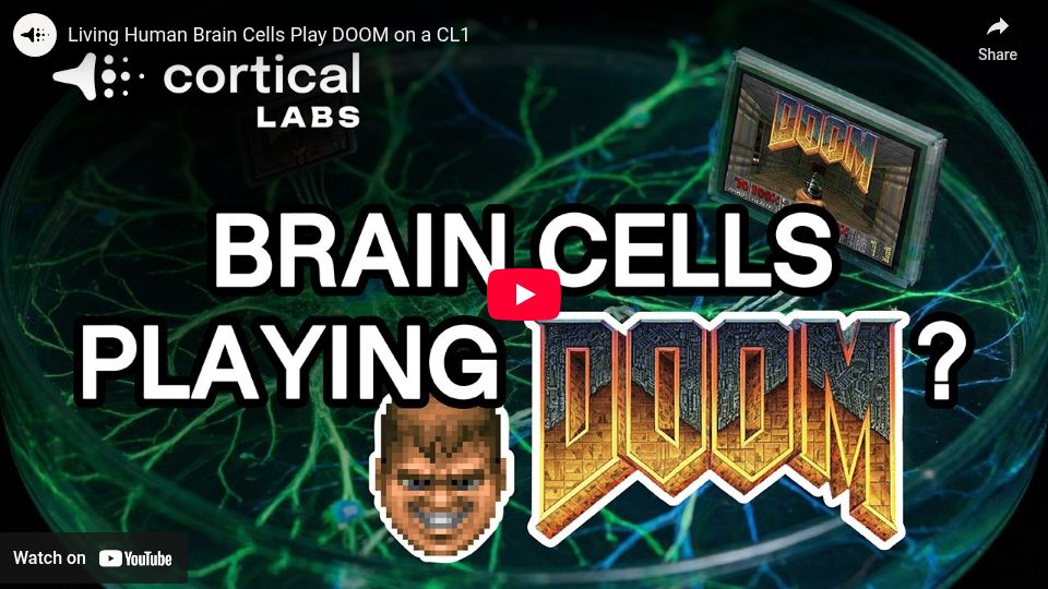 Screenshot of youtube.com: Living human brain cells play DOOM on a CL1 [video]