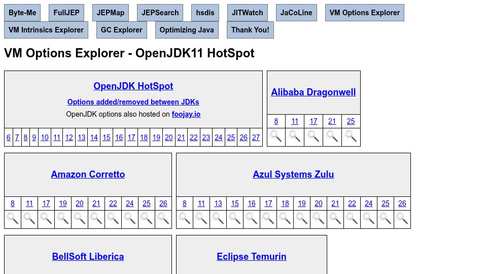 Screenshot of chriswhocodes.com: JVM Options Explorer