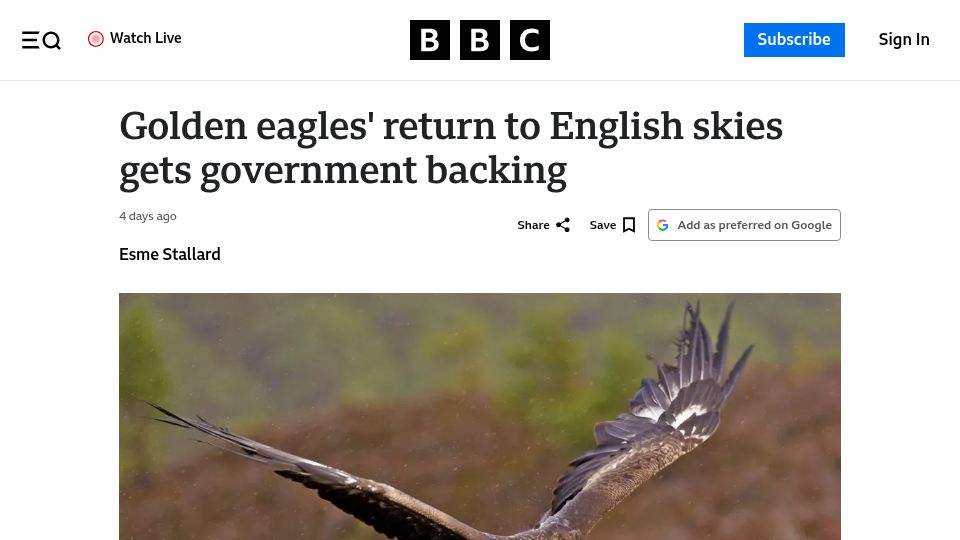 Screenshot of bbc.co.uk: Golden eagles' return to English skies