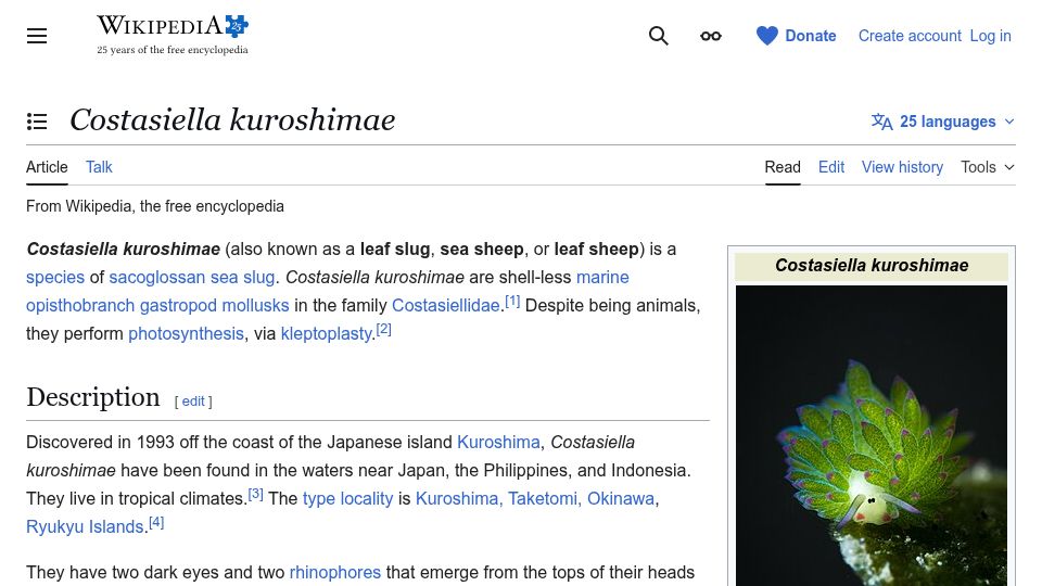 Screenshot of en.wikipedia.org: Costasiella kuroshimae