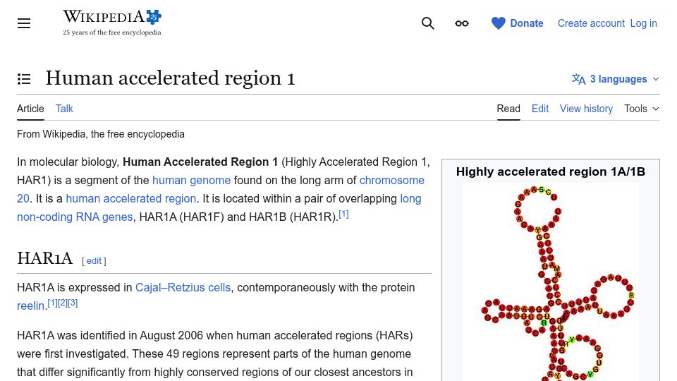Screenshot of en.wikipedia.org: Human Accelerated Region 1