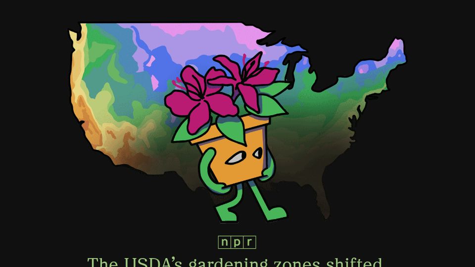 Screenshot of apps.npr.org: The USDA's gardening zones have shifted. (Interactive app and map) (2024)