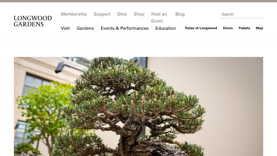 Screenshot of longwoodgardens.org: The Beauty of Bonsai Styles