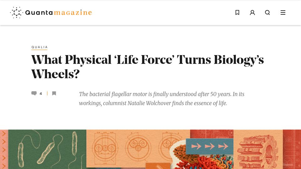 Screenshot of quantamagazine.org: A True Life Hack: What Physical 'Life Force' Turns Biology's Wheels?