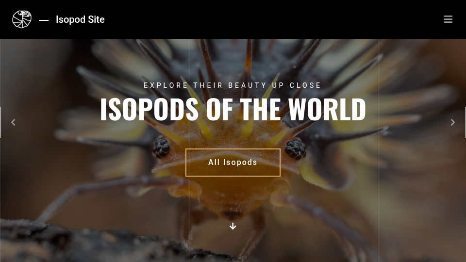 Screenshot of isopod.site: Isopods of the world