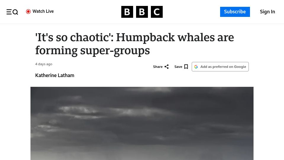Screenshot of bbc.com: Humpback whales are forming super-groups