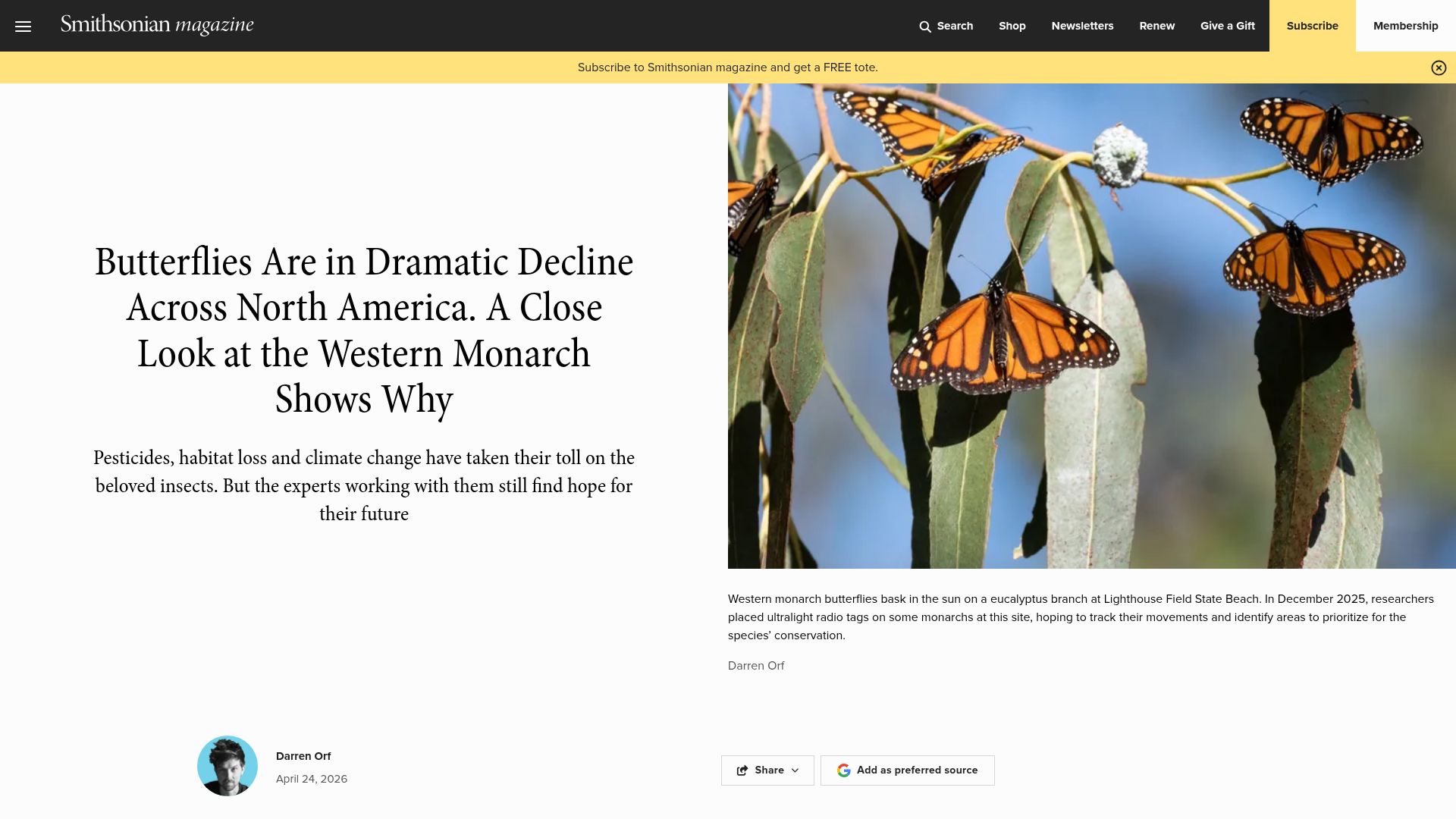 Screenshot of smithsonianmag.com: Butterflies are in decline across North America, a look at the Western Monarch