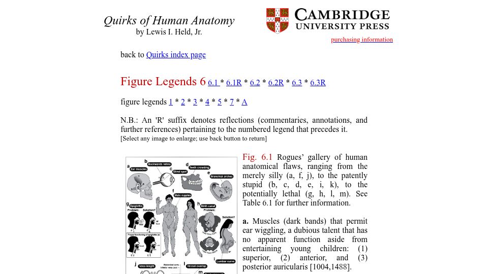 Screenshot of sdbonline.org: Quirks of Human Anatomy