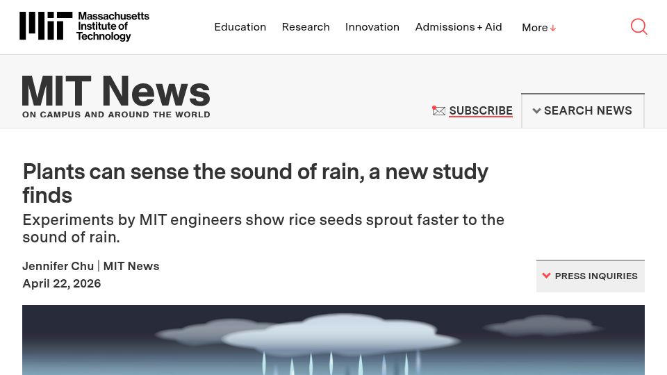 Screenshot of news.mit.edu: Plants can sense the sound of rain, a new study finds