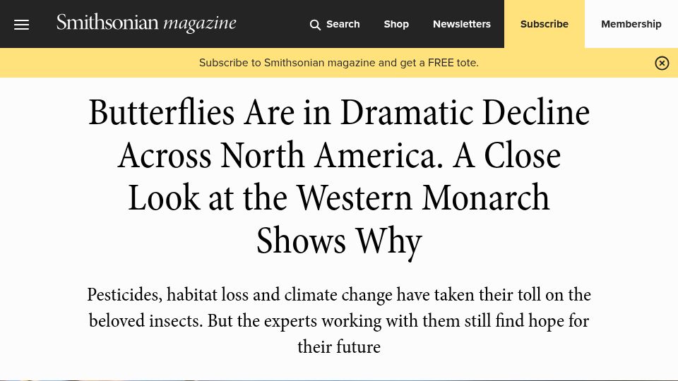 Screenshot of smithsonianmag.com: Butterflies are in decline across North America, a look at the Western Monarch