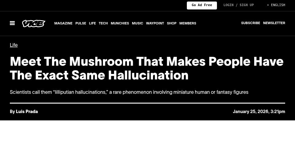 Screenshot of vice.com: The Mushroom That Makes People Have the Exact Same Hallucination
