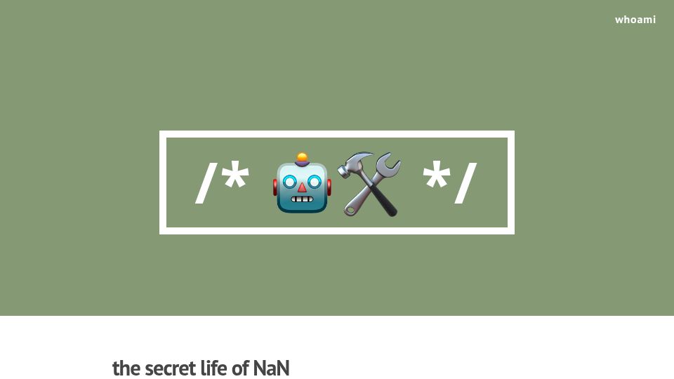 Screenshot of anniecherkaev.com: The Secret Life of NaN (2018)
