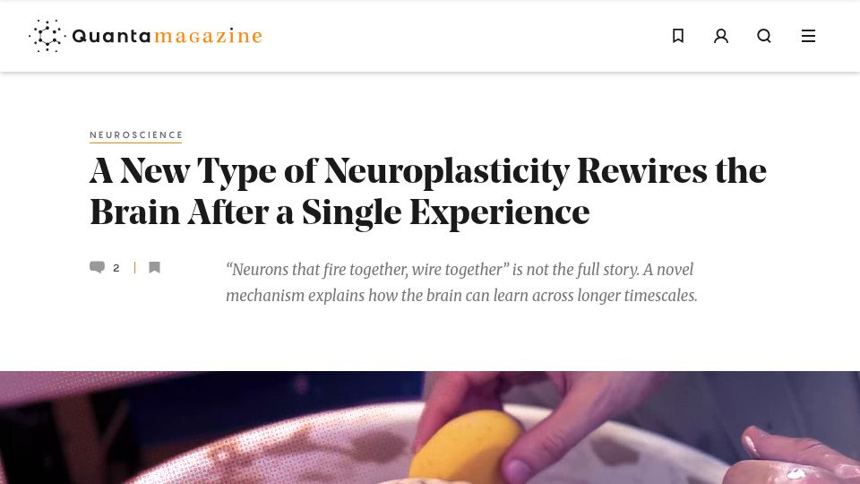 Screenshot of quantamagazine.org: Behavioral timescale synaptic plasticity rewires the brain after an experience